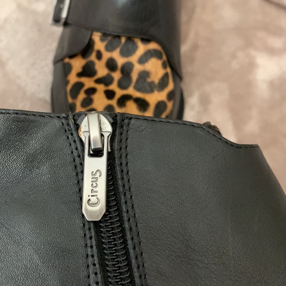 Circus by Sam Edelman Black Leopard Ankle Booties - Picture 8 of 10